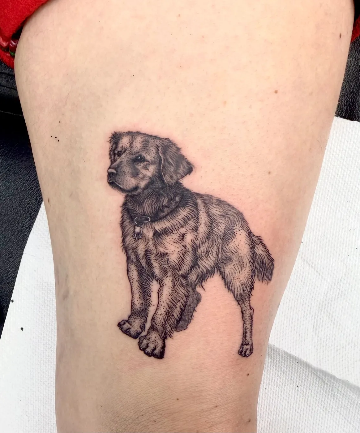Black & Grey tattoo, Black N Blue Tattoo (g09)